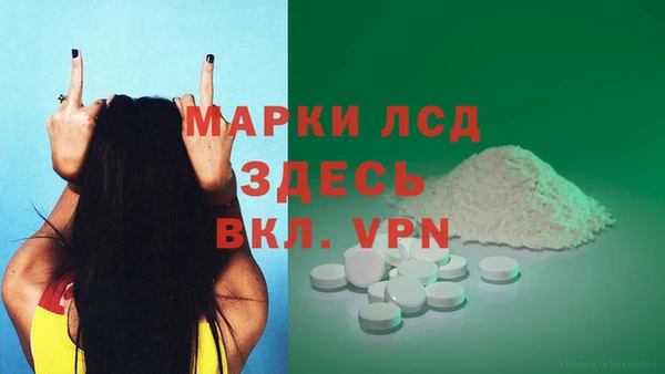PSILOCYBIN Верея