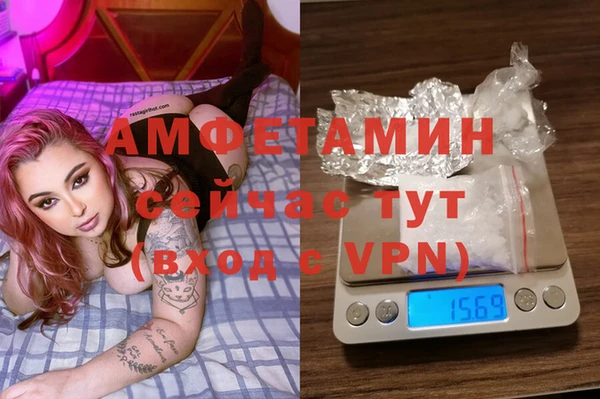PSILOCYBIN Верея