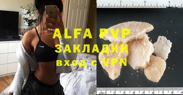 PSILOCYBIN Верея